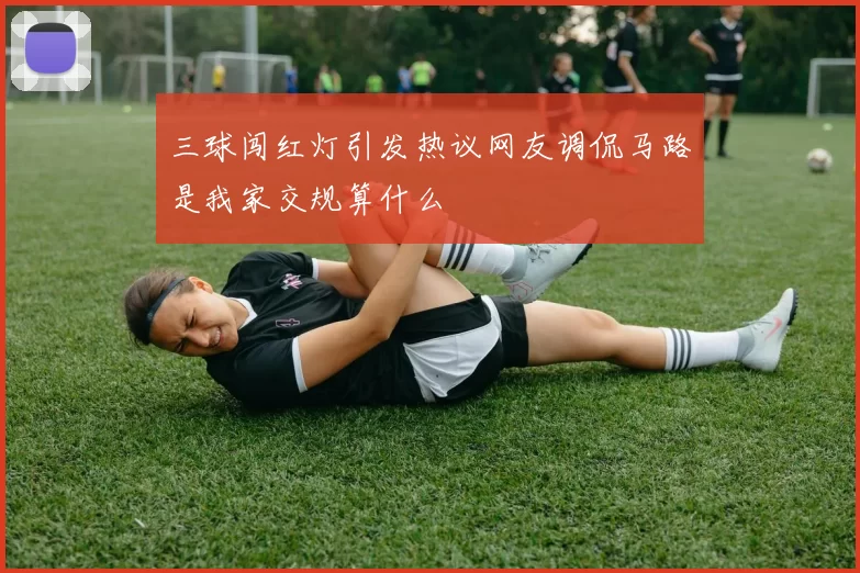 三球闯红灯引发热议网友调侃马路是我家交规算什么