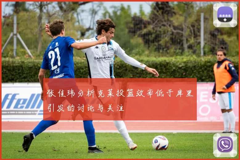 张佳玮分析克莱投篮效率低于库里引发的讨论与关注